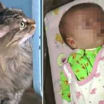 Бездомна котка спаси бебе от ужасяваща смърт