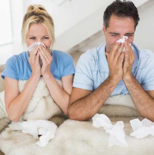 Тест за разграничаване на простуда от грип