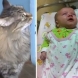 Котка спасява изоставено бебе! (Видео)