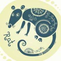 Ако сте зодия Мишка по Китайския хороскоп, вижте какво ви очаква в годината на Дървената овца