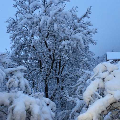 Червен код на 7 март за обилни снеговалежи в 3 области на страната