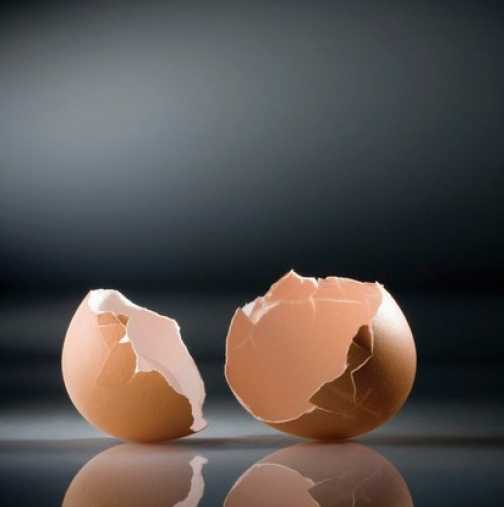 Не изхвърляйте черупките от яйцата: Вижте невероятното им приложение в домакинството