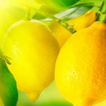 Ефикасна диета с лимон и мед против целулит