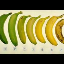 От тези седем банани знаете ли кой е най-добрият за вашия организъм?