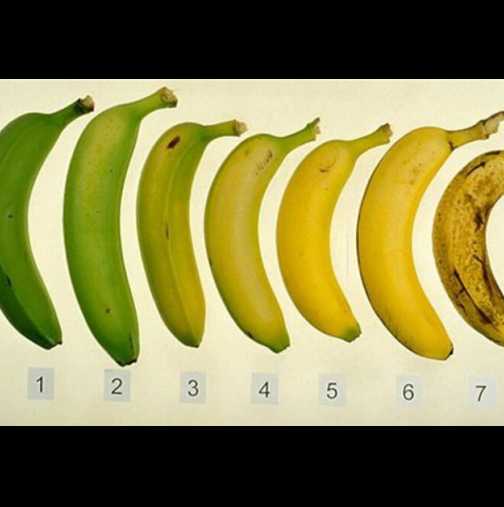 От тези седем банани знаете ли кой е най-добрият за вашия организъм?