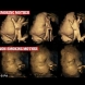 Ето какво се случва с нероденото бебе на майките, които пушат! (Видео)