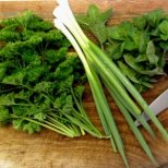 Зеленолистните зеленчуци-здраве и тонус за пролетта