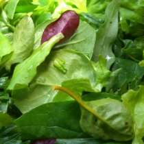 Полезните свойства на зелената салата