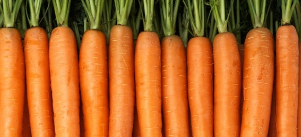 Диета с моркови за скоростно отслабване