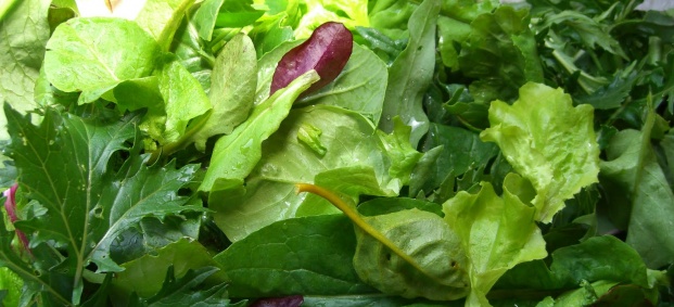Полезните свойства на зелената салата