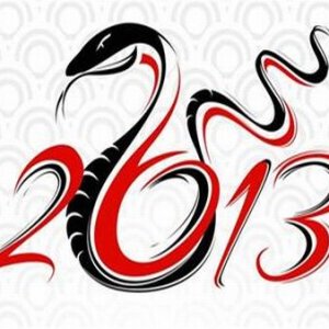 Как да имаме успехи през 2013 - годината на Змията
