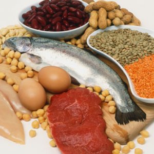Какви храни се използват при белтъчната диета