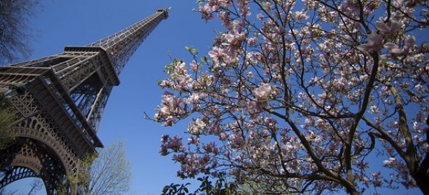 Французойки поискаха да бъде премахната Айфеловата кула