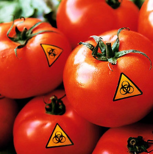 Как да разберете на момента, дали доматите на пазара са пълни с нитрати