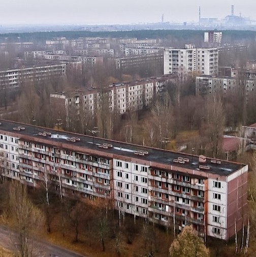 Тайният живот в Чернобил: Снимки, които разкриват, кой живее в радиоактивната зона