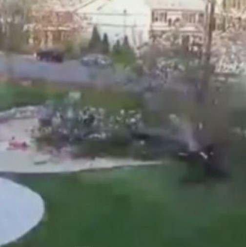 Голямо дърво се падна върху детска площадка на която има деца - Вижте какво се случи!