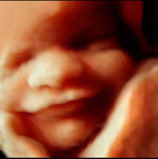 Бебетата разпознават гласове още в утробата - говорете им