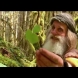(Видео) Той живее в дърво! Отказал се от всичко, събул обувките и сега се радва на един съвсем различен живот