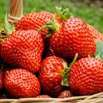 Диета с ягоди: Отслабнете 5 кг за 4 дни с този невероятно вкусен плод