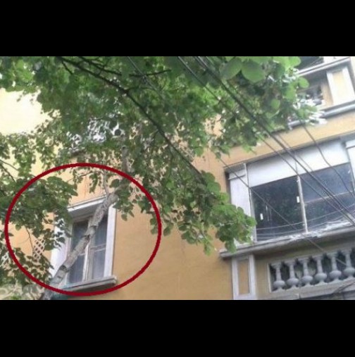 Трагедия в Пловдив: Младеж се обеси след ...