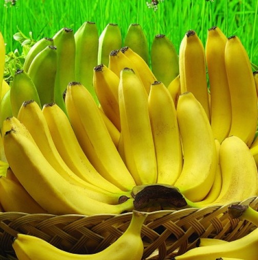 5 здравословни проблема, които бананите ще ви решат по- добре от лекарства