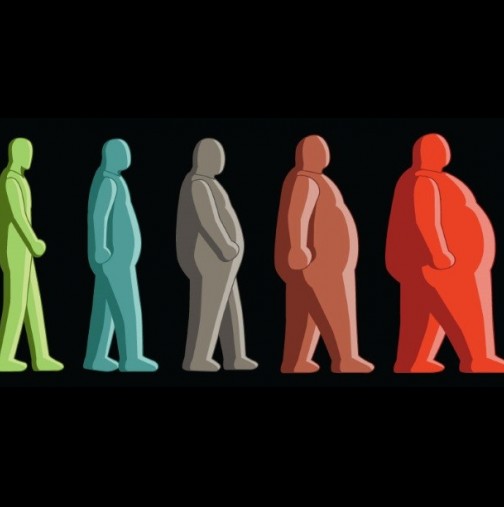 Как да изчислите собственият си индекс на телесна маса, който ви показва дали сте дебели, слаби, недохранени или напълно здрави