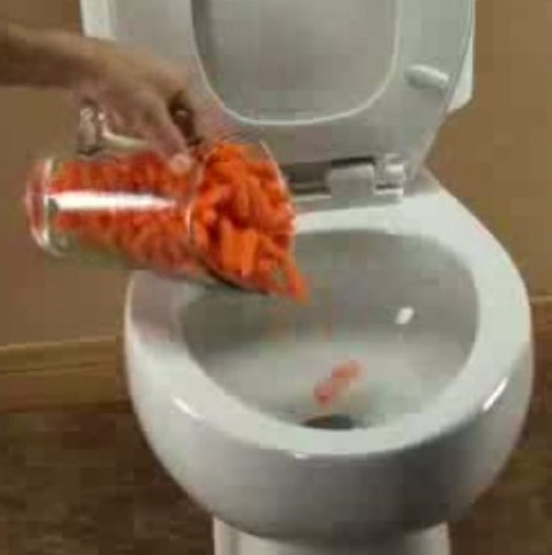 Няма да повярвате, какво се случва, когато този мъж постави морковите в тоалетната чиния