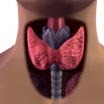 Как изглежда езикът ви, ако имате проблеми с щитовидната жлеза?