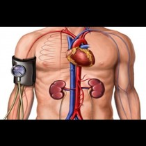 Преборете хипертонията без лекарства