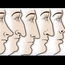 Формата на носа не е случайна: Каква говори формата на носа за вас