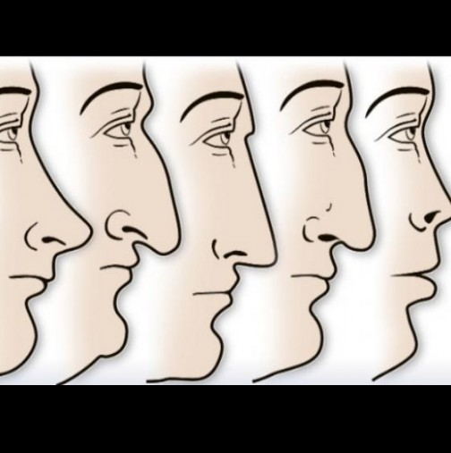 Формата на носа не е случайна: Каква говори формата на носа за вас