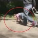 Жена разхожда детето си като куче, вързано на каишка