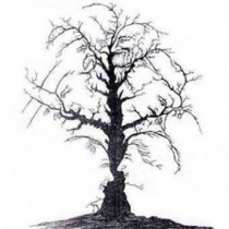 Тествайте очите си: Колко лица виждате на това дърво?Много хора не могат да видят даже едно