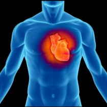 Уникален начин за нормализиране работата на сърцето без лекарства