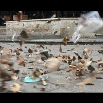 Ураганен вятър в София: Прозорци и врати се чупят, саксии и пране хвърчат!