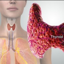 Ето как да разберете дали имате проблеми с щитовидната жлеза