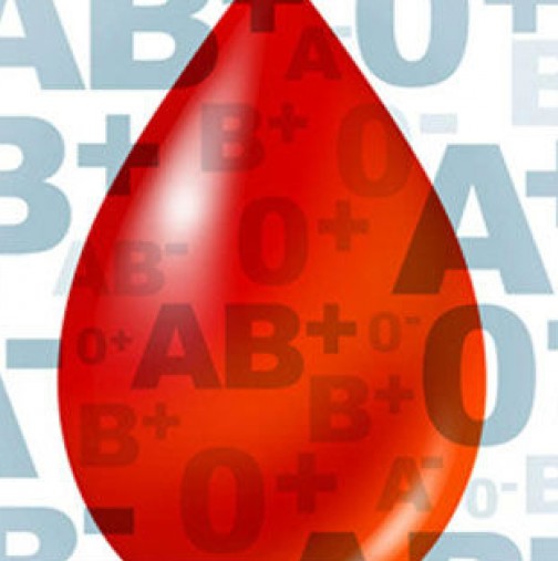 Защо хората с нулева кръвна група са специални 