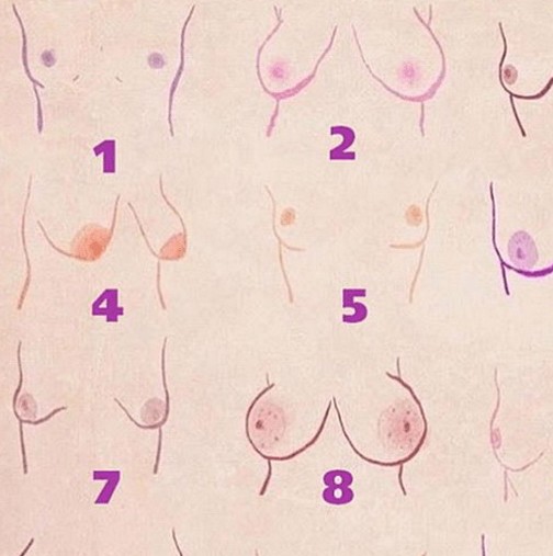 Женските гърди имат 12 различни форми: Коя е вашата и какво разкрива?