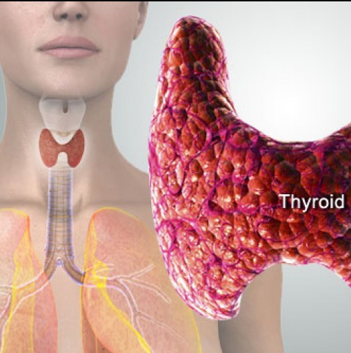 Ето как да разберете дали имате проблеми с щитовидната жлеза