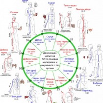 Ето как да разпознаете проблемите в тялото си. Китайски биологичен часовник- действа безотказно  