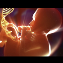 От рака до зачеването – всичко е генетика