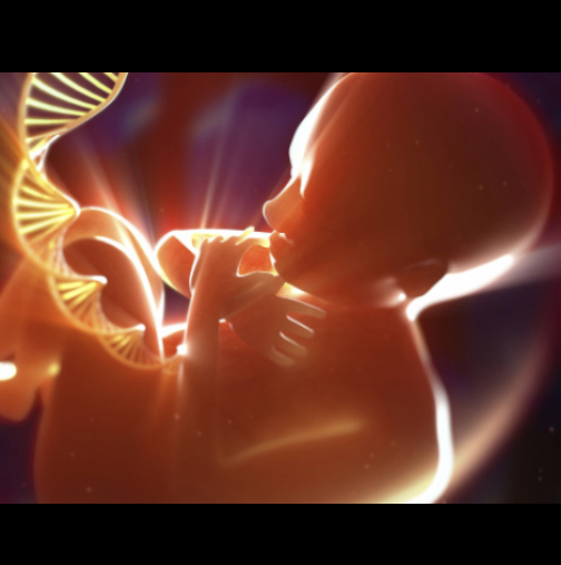 От рака до зачеването – всичко е генетика