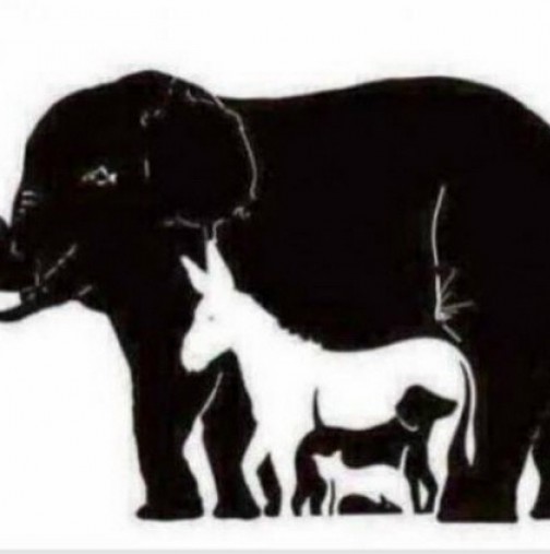 Тест за интелигентност: Колко животни виждате на снимката?