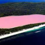 розовото езеро Хилиър