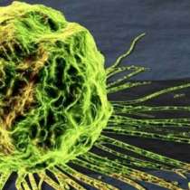 Зловещите тайни на раковите клетки