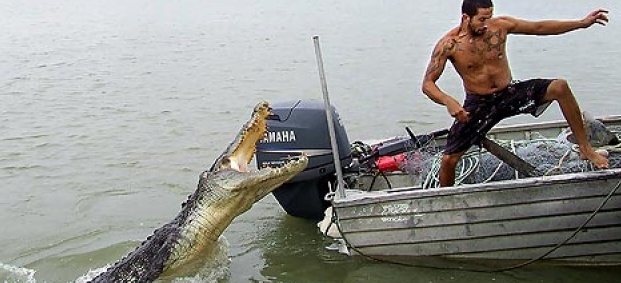 Мъж се спасява от крокодил с юмруци