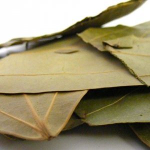 Лечебните свойства на дафиновият лист