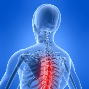 Билки при болки в гърба