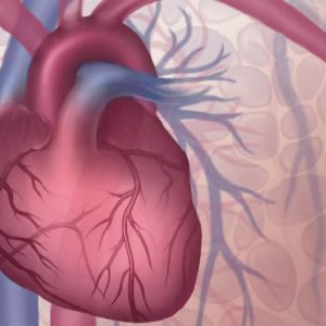 Лечение и профилактика на коронарна болест на сърцето