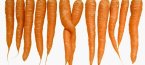Моркови срещу рак на простатата